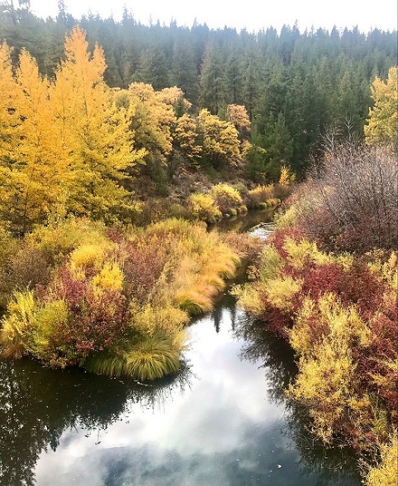 BLM Partnering with Lassen Rural Bus This Saturday