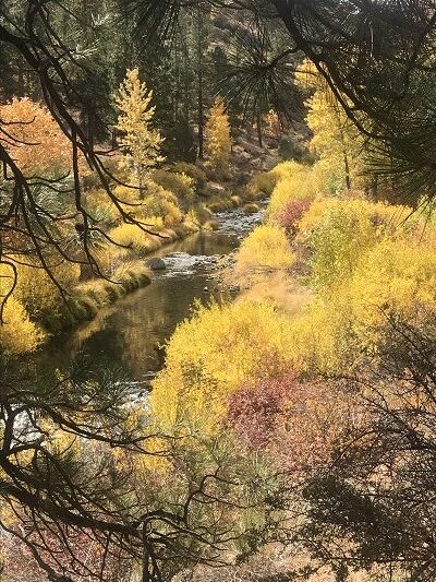 Lassen County Trail Conditions Perfect for a Fall Walk