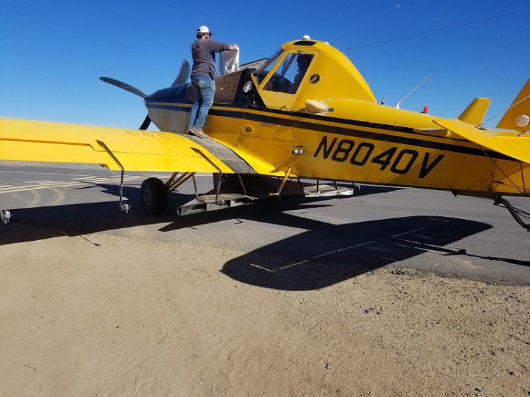 9 Tons of Seeds Dropped in Beckwourth Burn Scar