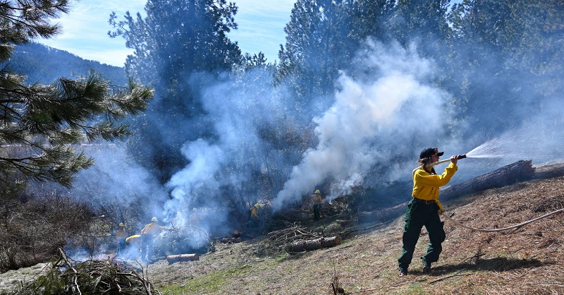 FRC Students Work with CalFIRE on Fuel Reduction Project