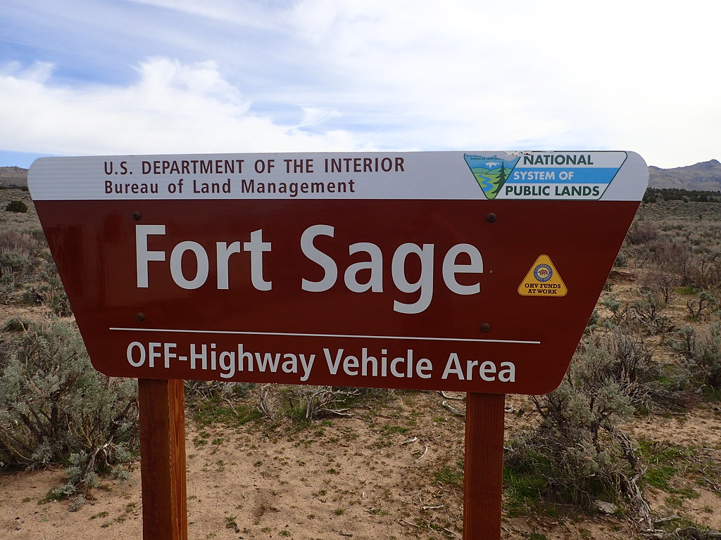 Golden Egg Hare Scramble in Doyle