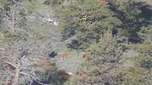 Lassen County Wolf’s Den Spotted in Oregon