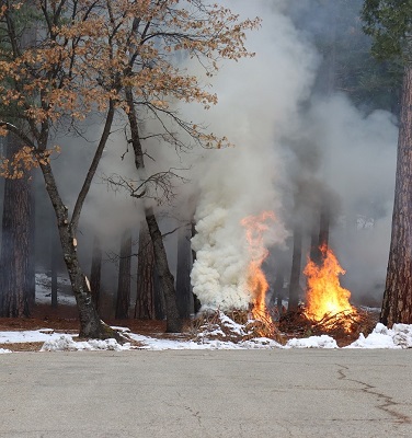 Expect to See Smoke, Plumas NF Begins Pile Burns Near Bucks Lake