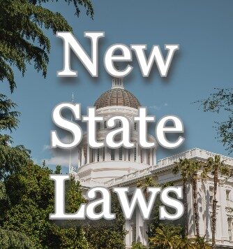Laws Going into Effect in the New Year