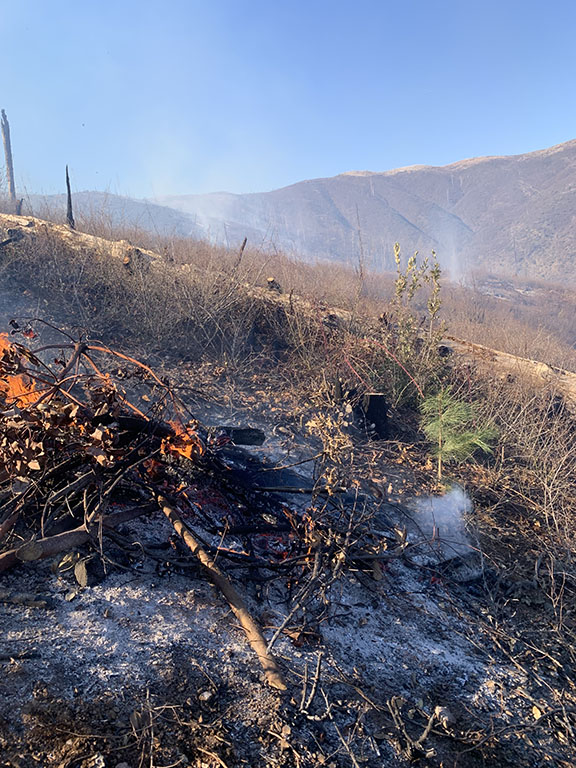 Pile Burn Projects Bring Smoke to Janesville, Susanville, and Indian Valley