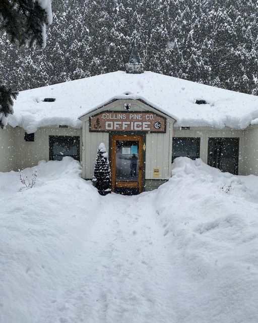 Collins Pine Co. Forced to Lay Off Employees Due to Equipment Damage