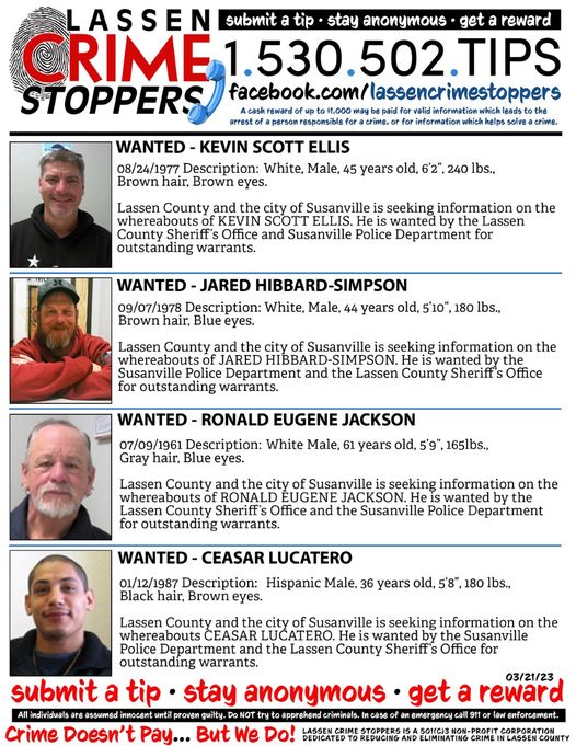 Have you Seen These Men? March Crimestoppers