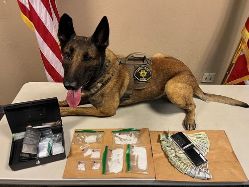 LCSO K9 “Hank” Assists Deputies in Arrest of Westwood Couple for Narcotics