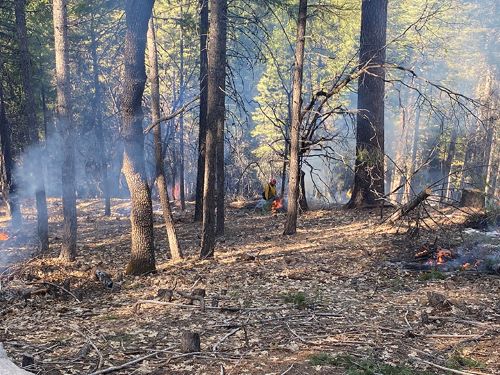 Plumas National Forest Resumes Pile Burning Projects