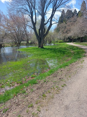 Snowmelt Impacts Memorial Park