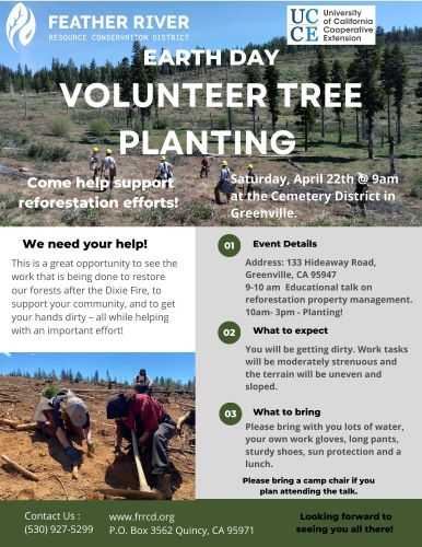 Feather River RCD and UC Coop Ext. Host Volunteer Tree Planting Day in Greenville