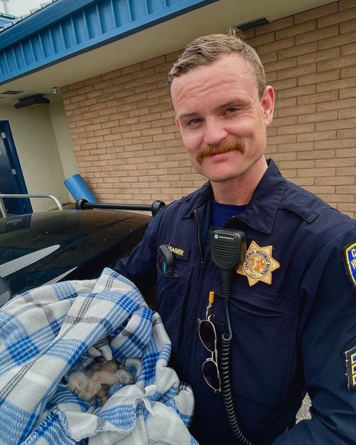 CHP Susanville Officers Assist in Rescue of Abandoned Owlets