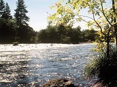 BLM Announces Opening of Pit River Campground