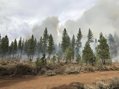 Prescribed Burns to Enhance Fire Safety in Butterfly Valley and Near La Porte