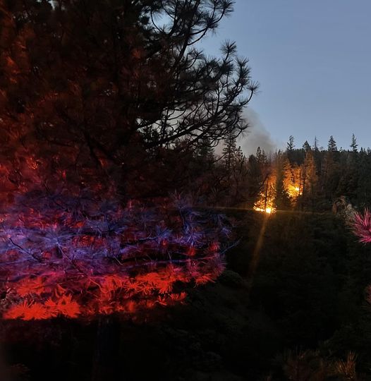 Campfire Sparks Fire Near Keddie