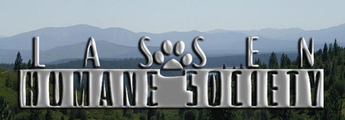 Half of Lassen Humane Society Board Resigns