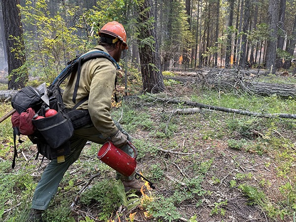 Final RX Burns Successful on the Plumas National Forest