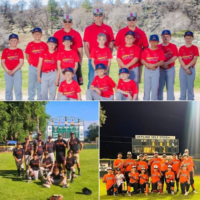 Susanville Little League Announces Division Champs