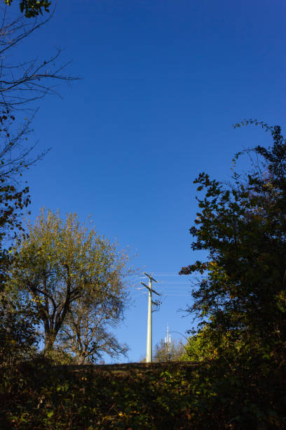 A Traumatic Scene Unfolded after a Utility Worker is Rescued in The Feather River Canyon