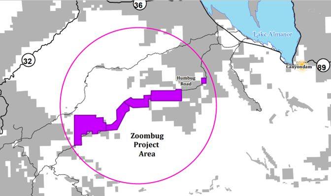 Save Time, Know Before You Go, Lassen Ntl Forest Zoombug Project Update