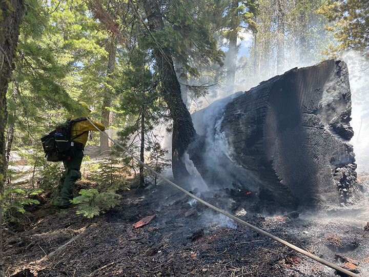 Plumas NF Investigates Human-Caused Fire