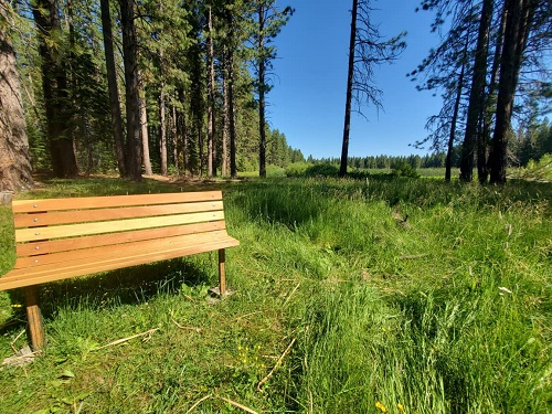 New Trail and Bench Welcomes Outdoor Enthusiasts in Westwood