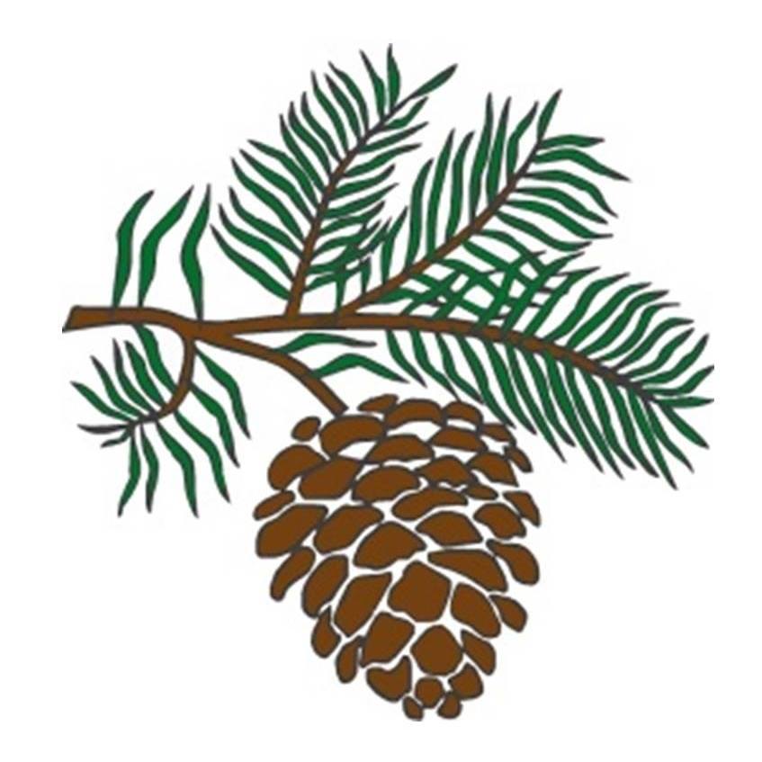 Outdoor Equity Program Benefits Plumas Charter School-2nd Round of Funding