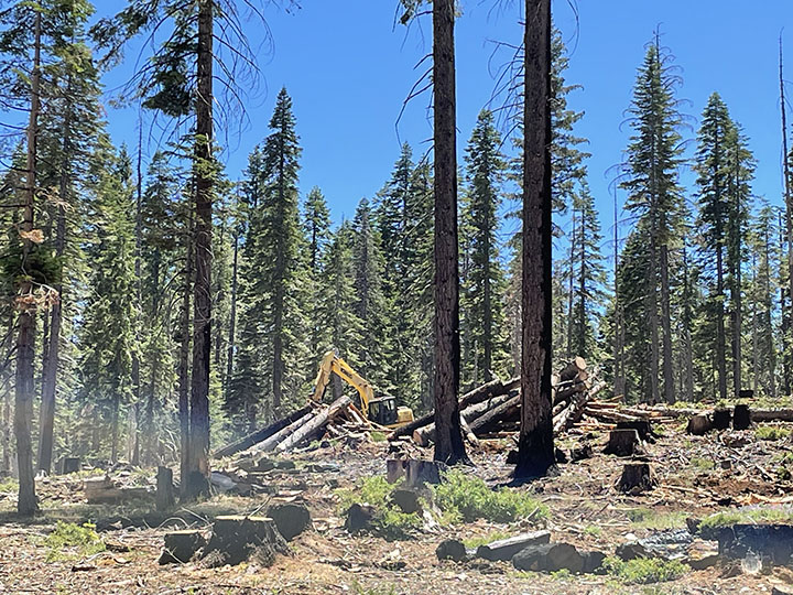 Plumas National Forest Community Protection Project Takes Significant Step- First Decision Signed and Published