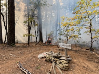 Unforeseen Wind Disrupts Prescribed Burns in Plumas National Forest