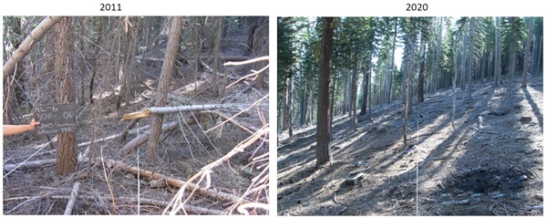 Prescribed Burns to Generate Smoke in Lassen Volcanic National Park