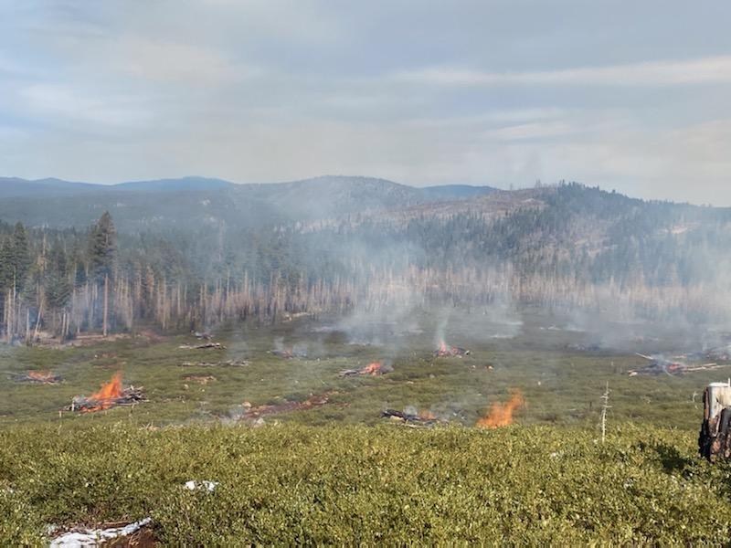 Lassen National Forest Updates Fall Prescribed Fire Projects