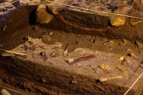 LNF Extends 3rd Grade Archeology Essay Contest Deadline