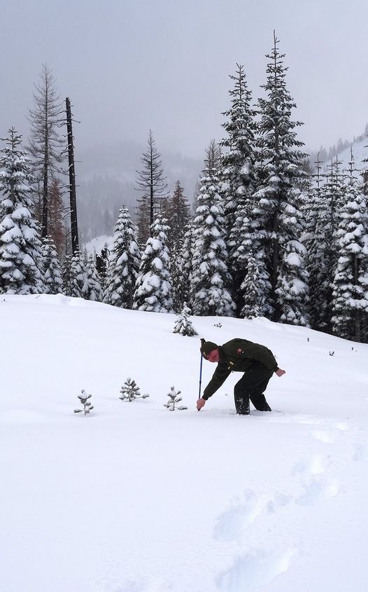 Lassen Volcanic Ntl Park Lies Under Blanket of Snow, Highway Closed for the Season