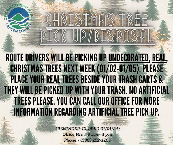 Christmas Tree Collection Begins Next Week-What you Need to Know