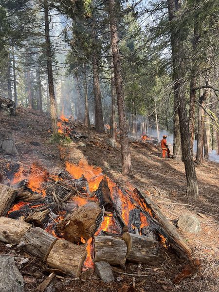 CalFire’s LMU Prescribed Burns Advance on Hamilton Branch Fuels Reduction Project