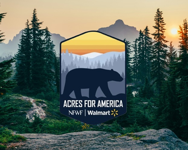 Wal-Mart and National Fish and Wildlife Foundation Award Millions for Conservation Projects