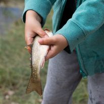 Lassen Jr. Fishing Derby 2024 Date Announced