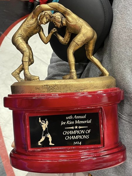 LHS Wrestlers Take Home Multiple Wins Over the Weekend