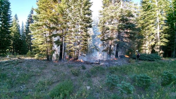 Sierra County Achieves Justice: Arsonist Sentenced for Berry Fire Incident