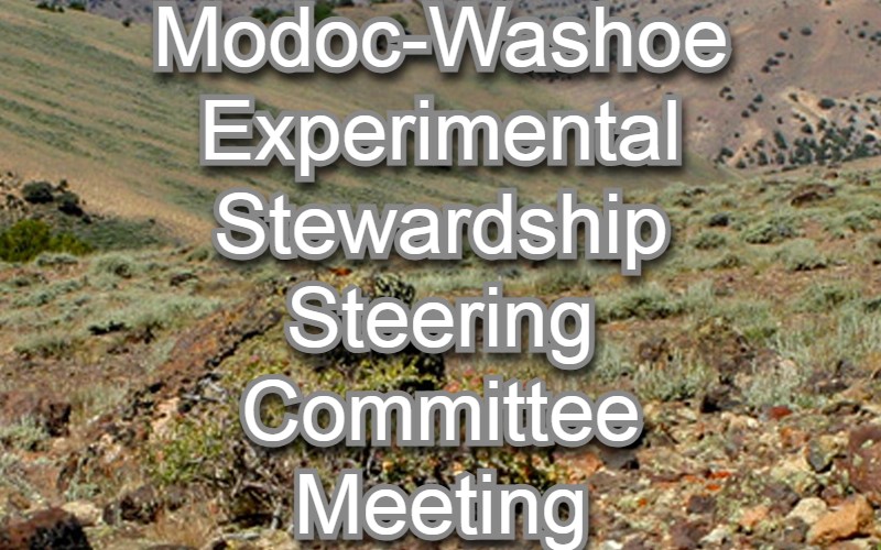 Modoc-Washoe Experimental Stewardship Program Steering Committee to Meet in Cedarville