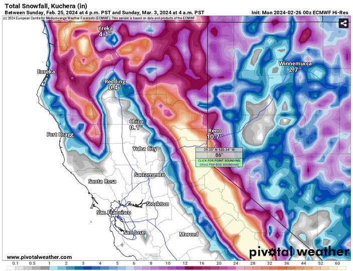 Miracle March Predicted as Forecasters Urge Preparation for Blizzard Conditions