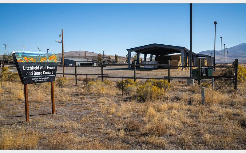 Susanville Corrals Reopen After Storm Damage; Wild Horse Adoptions Resume