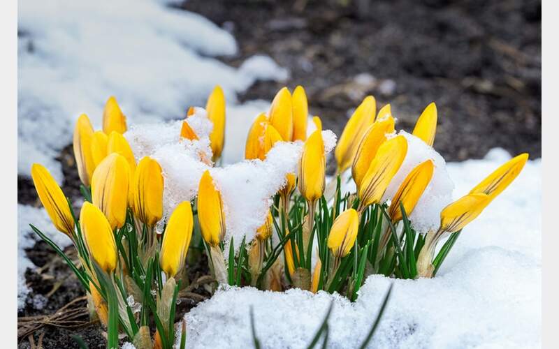 Sierra Winter Storm Brings Winds and Snow; Holiday Weekend Travel Advisory Issued