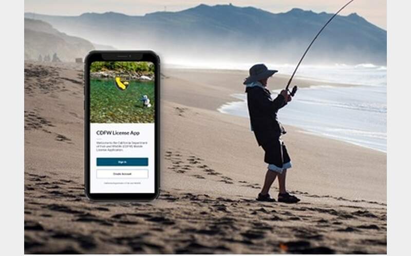 CDFW Launches Initiative to Ease Licensure Process