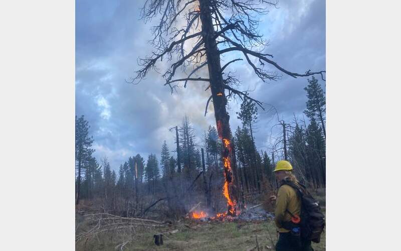 Mid-Week Thunderstorms Trigger Coble Fire in Lassen National Forest