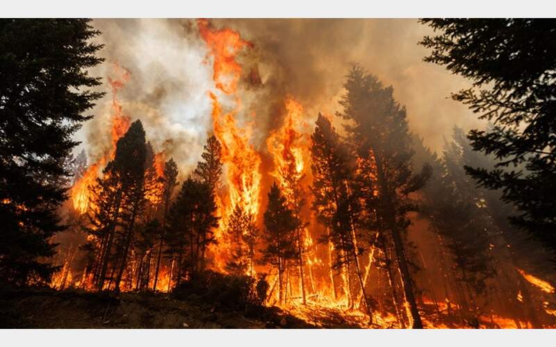 Timber Companies File Lawsuit Against PG&E For Dixie Fire Damages