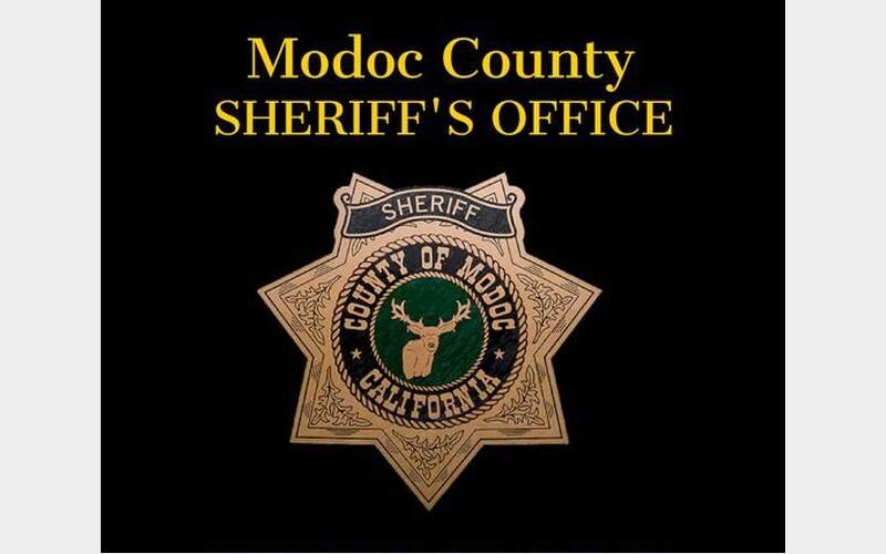 Modoc Sheriff Urges Action Against Rising Gray Wolf Threat to Livestock and Safety