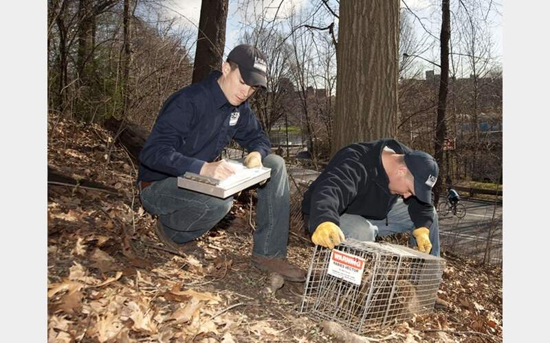 County Considers 100K+ Wildlife Management Pact with APHIS