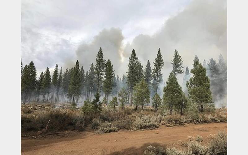 Fuel Treatment Projects Underway Across the Region-Expect Smoke