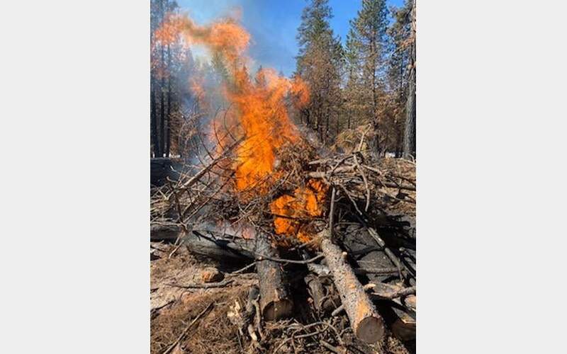 BLM to Begin Pile Burning Near Horse Lake